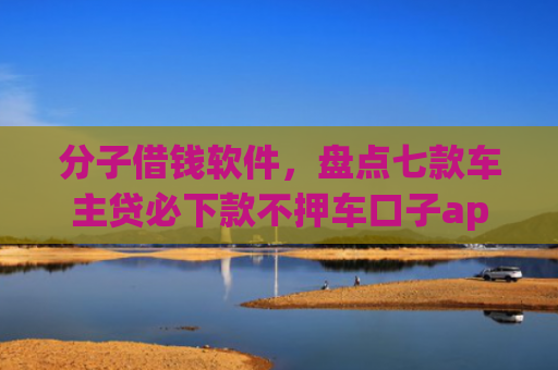 分子借钱软件，盘点七款车主贷必下款不押车口子app
