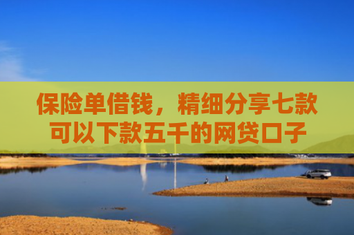 保险单借钱，精细分享七款可以下款五千的网贷口子