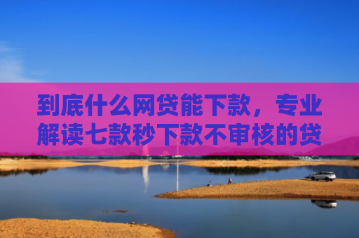 到底什么网贷能下款，专业解读七款秒下款不审核的贷款口子