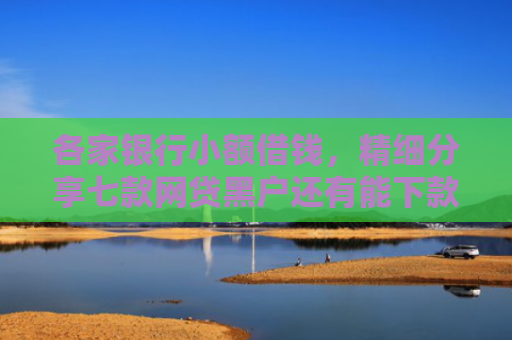 各家银行小额借钱，精细分享七款网贷黑户还有能下款