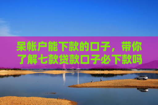 呆帐户能下款的口子，带你了解七款贷款口子必下款吗