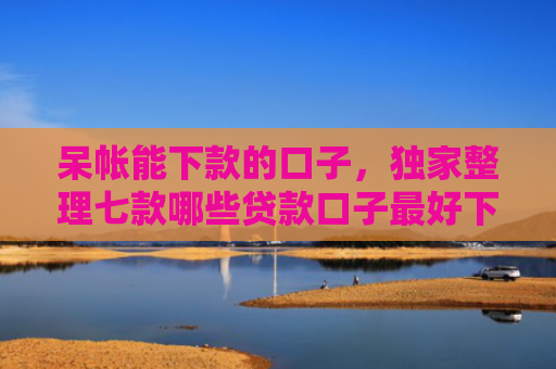 呆帐能下款的口子，独家整理七款哪些贷款口子最好下款