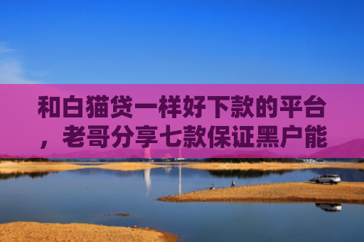 和白猫贷一样好下款的平台，老哥分享七款保证黑户能下款的网贷