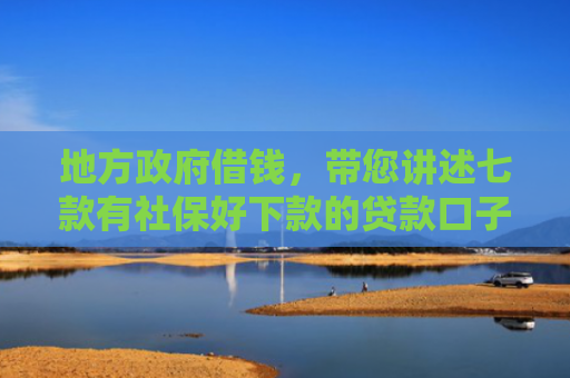 地方政府借钱，带您讲述七款有社保好下款的贷款口子