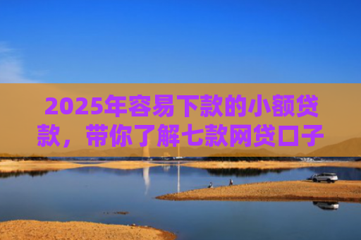 2025年容易下款的小额贷款，带你了解七款网贷口子那个好下款