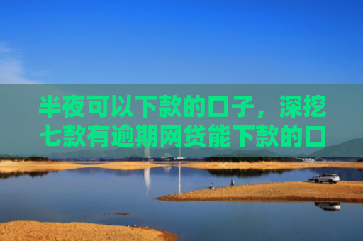 半夜可以下款的口子，深挖七款有逾期网贷能下款的口子