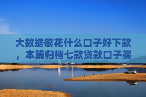 大数据很花什么口子好下款，本篇归档七款贷款口子买下款