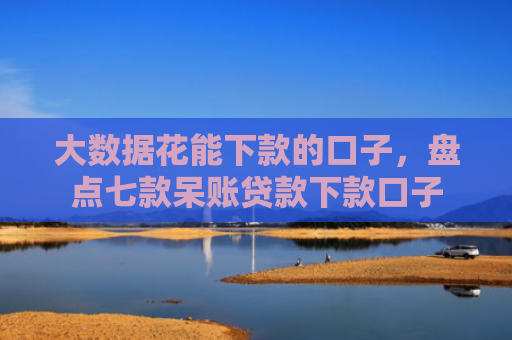 大数据花能下款的口子，盘点七款呆账贷款下款口子