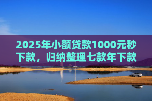 2025年小额贷款1000元秒下款，归纳整理七款年下款的网贷口子