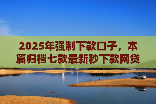 2025年强制下款口子，本篇归档七款最新秒下款网贷口子