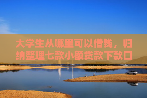 大学生从哪里可以借钱，归纳整理七款小额贷款下款口子