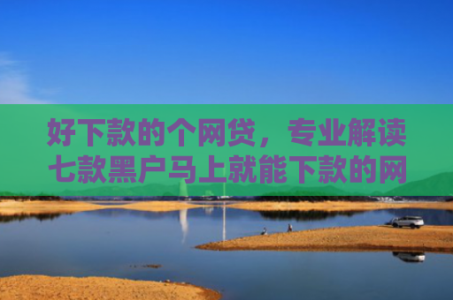 好下款的个网贷，专业解读七款黑户马上就能下款的网贷