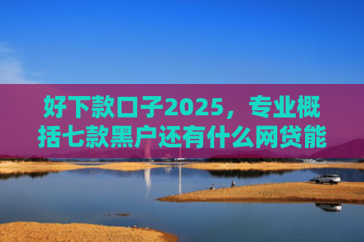 好下款口子2025，专业概括七款黑户还有什么网贷能下款