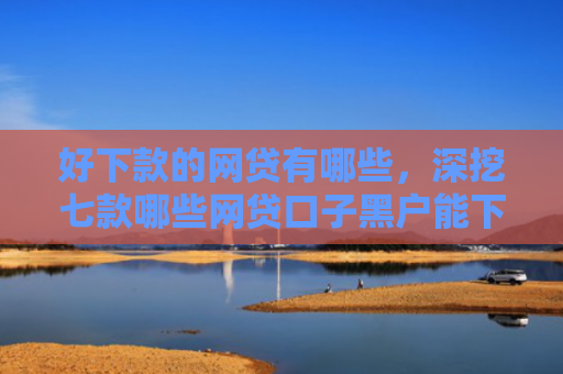 好下款的网贷有哪些，深挖七款哪些网贷口子黑户能下款