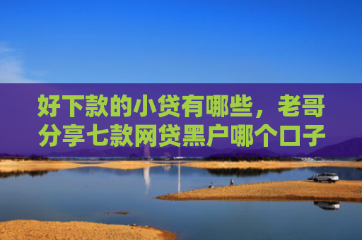 好下款的小贷有哪些，老哥分享七款网贷黑户哪个口子能下款