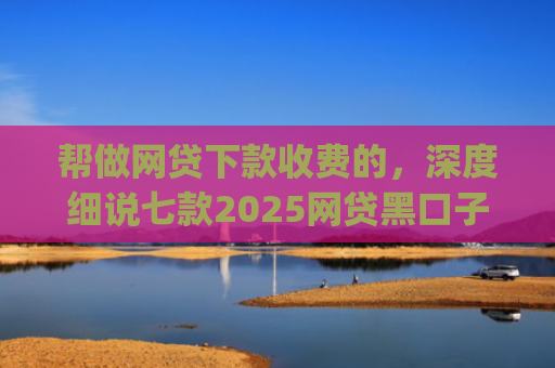 帮做网贷下款收费的，深度细说七款2025网贷黑口子秒下款app