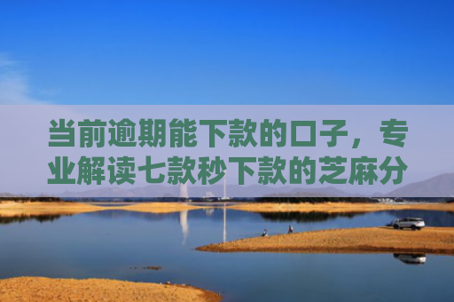当前逾期能下款的口子，专业解读七款秒下款的芝麻分贷款口子