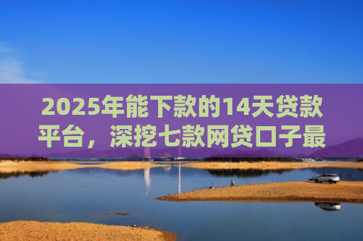 2025年能下款的14天贷款平台，深挖七款网贷口子最容易下款