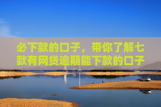 必下款的口子，带你了解七款有网贷逾期能下款的口子