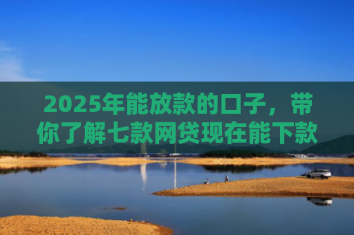 2025年能放款的口子，带你了解七款网贷现在能下款口子