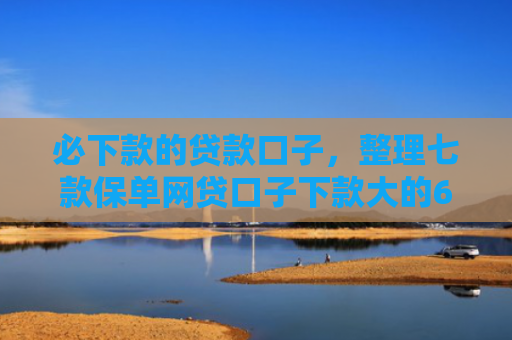必下款的贷款口子，整理七款保单网贷口子下款大的6