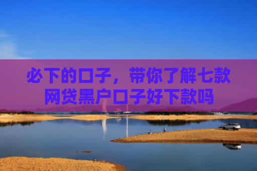必下的口子，带你了解七款网贷黑户口子好下款吗