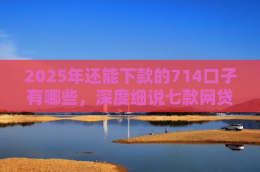 2025年还能下款的714口子有哪些，深度细说七款网贷黑户苹果下款口子