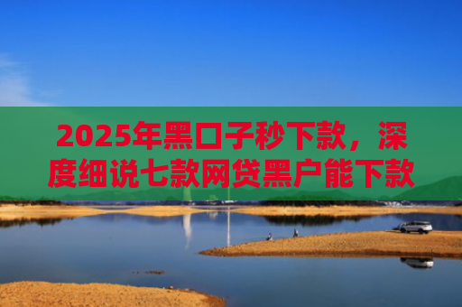 2025年黑口子秒下款，深度细说七款网贷黑户能下款口子