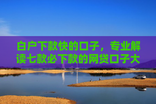 白户下款快的口子，专业解读七款必下款的网贷口子大全
