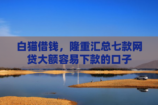 白猫借钱，隆重汇总七款网贷大额容易下款的口子