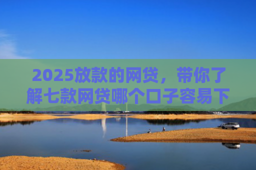 2025放款的网贷，带你了解七款网贷哪个口子容易下款