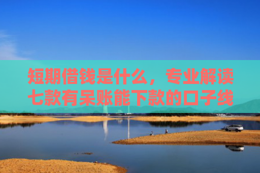 短期借钱是什么，专业解读七款有呆账能下款的口子线上贷款吗