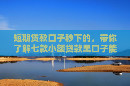短期贷款口子秒下的，带你了解七款小额贷款黑口子能下款吗