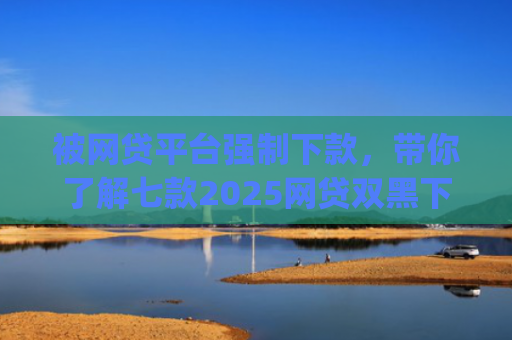 被网贷平台强制下款，带你了解七款2025网贷双黑下款app口子