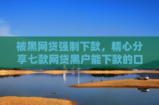 被黑网贷强制下款，精心分享七款网贷黑户能下款的口子6