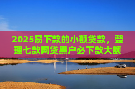 2025易下款的小额贷款，整理七款网贷黑户必下款大额口子