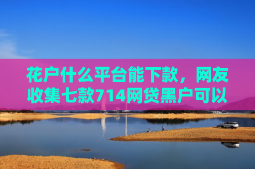 花户什么平台能下款，网友收集七款714网贷黑户可以下款