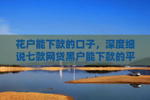 花户能下款的口子，深度细说七款网贷黑户能下款的平台