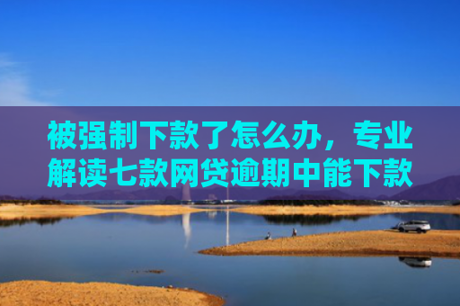 被强制下款了怎么办，专业解读七款网贷逾期中能下款的口子