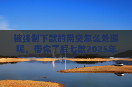 被强制下款的网贷怎么处理呢，带你了解七款2025年容易下款的网贷口子