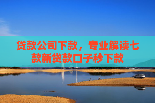 贷款公司下款，专业解读七款新贷款口子秒下款