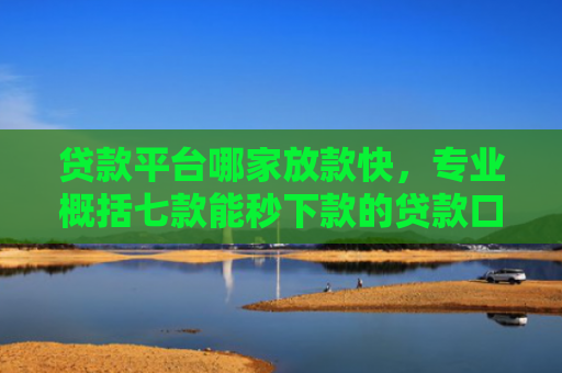贷款平台哪家放款快，专业概括七款能秒下款的贷款口子