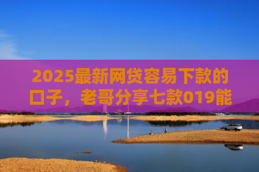 2025最新网贷容易下款的口子，老哥分享七款019能下款的网贷口子