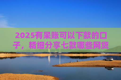 2025有呆账可以下款的口子，精细分享七款哪些网贷口子好下款的