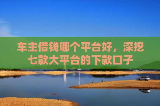 车主借钱哪个平台好，深挖七款大平台的下款口子