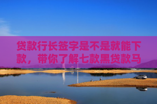 贷款行长签字是不是就能下款，带你了解七款黑贷款马上下款的口子