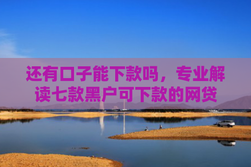 还有口子能下款吗，专业解读七款黑户可下款的网贷