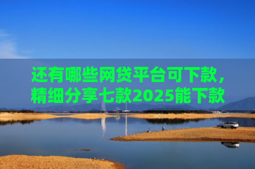 还有哪些网贷平台可下款，精细分享七款2025能下款网贷黑户
