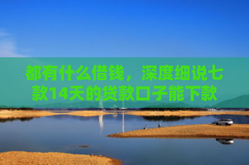 都有什么借钱，深度细说七款14天的贷款口子能下款吗