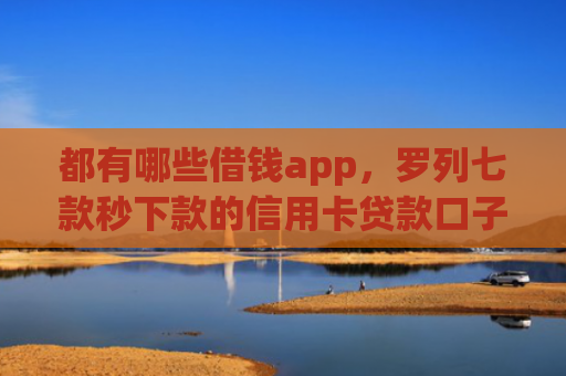 都有哪些借钱app，罗列七款秒下款的信用卡贷款口子